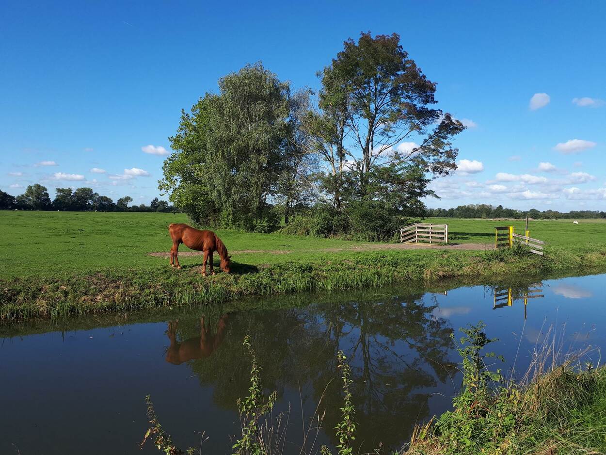 Langbroekerdijk bij Odijk