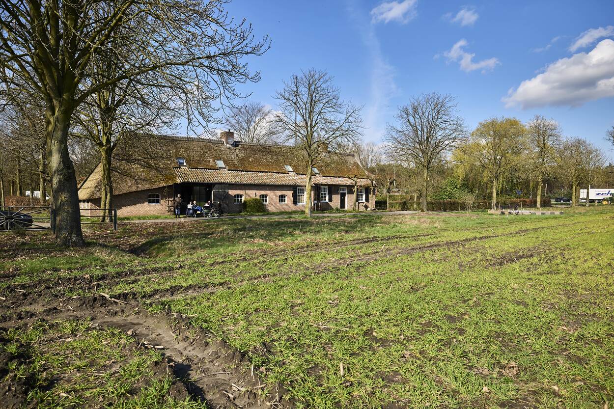 Een boerderij met een rieten dak, omgeven door een open veld met jonge, groene gewassen onder een blauwe lucht met enkele wolken. De locatie is rustiek, met kale bomen en een landelijke sfeer, en wordt gebruikt als testlocatie voor biobased experimenten van Rijkswaterstaat.