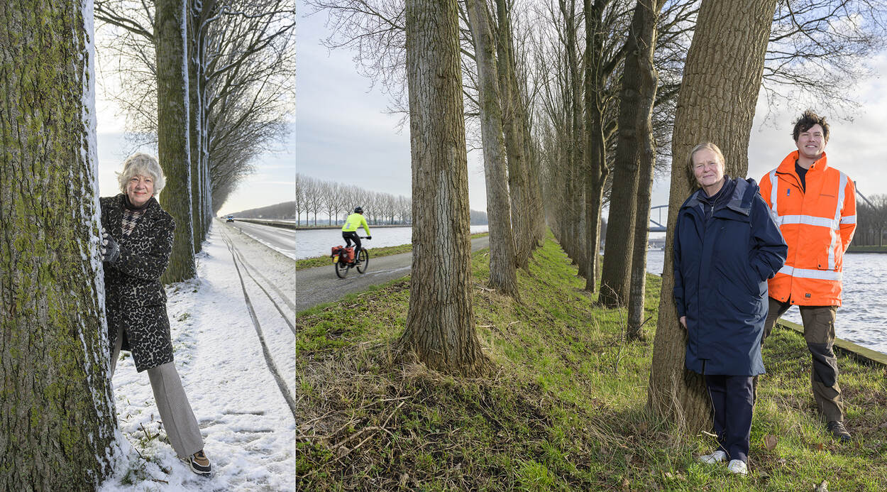 Drieluik Renee Wijnen, Maaike Bos en Coen van Tuijl