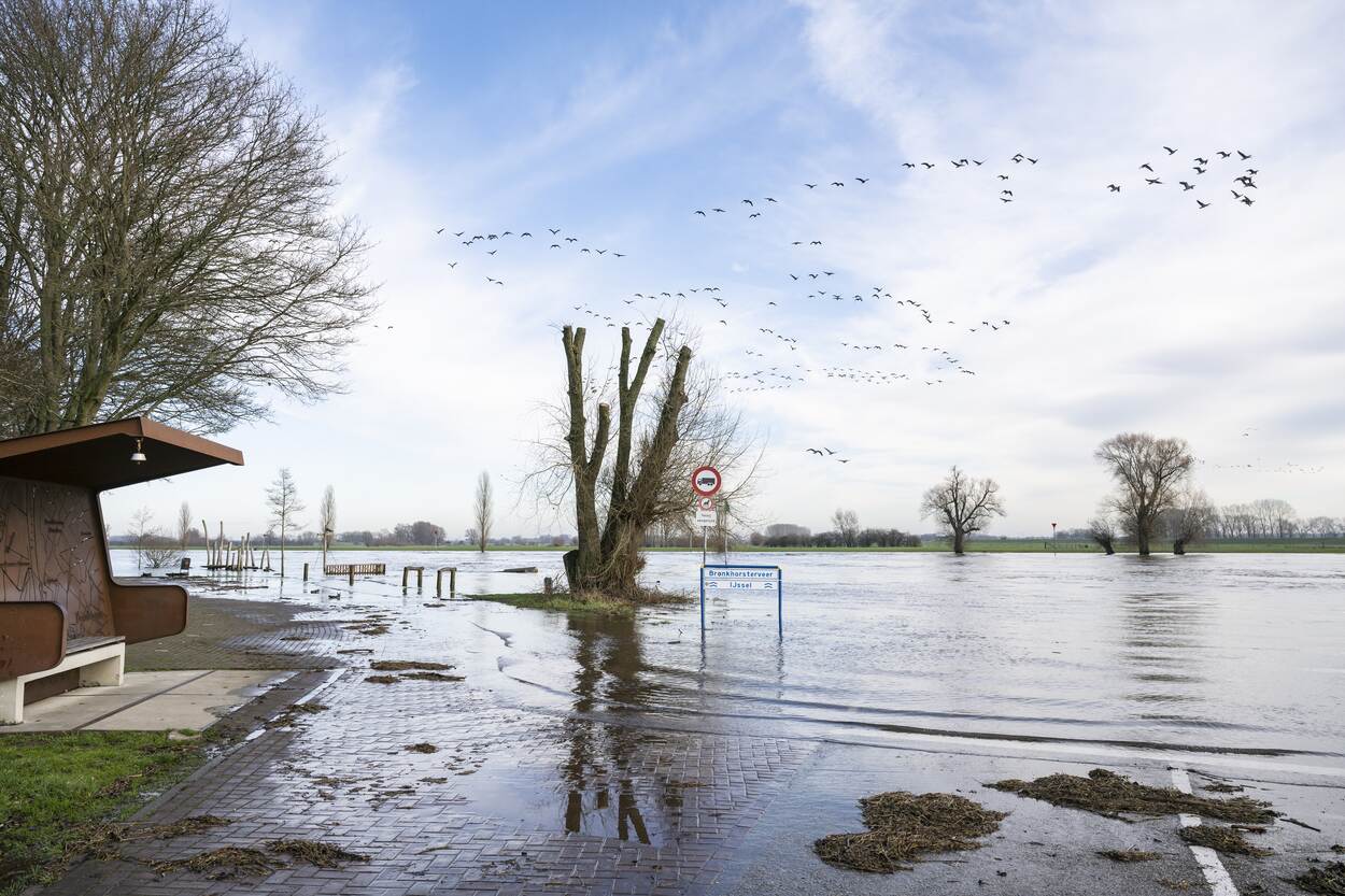 Hoogwater in de rivier de IJssel