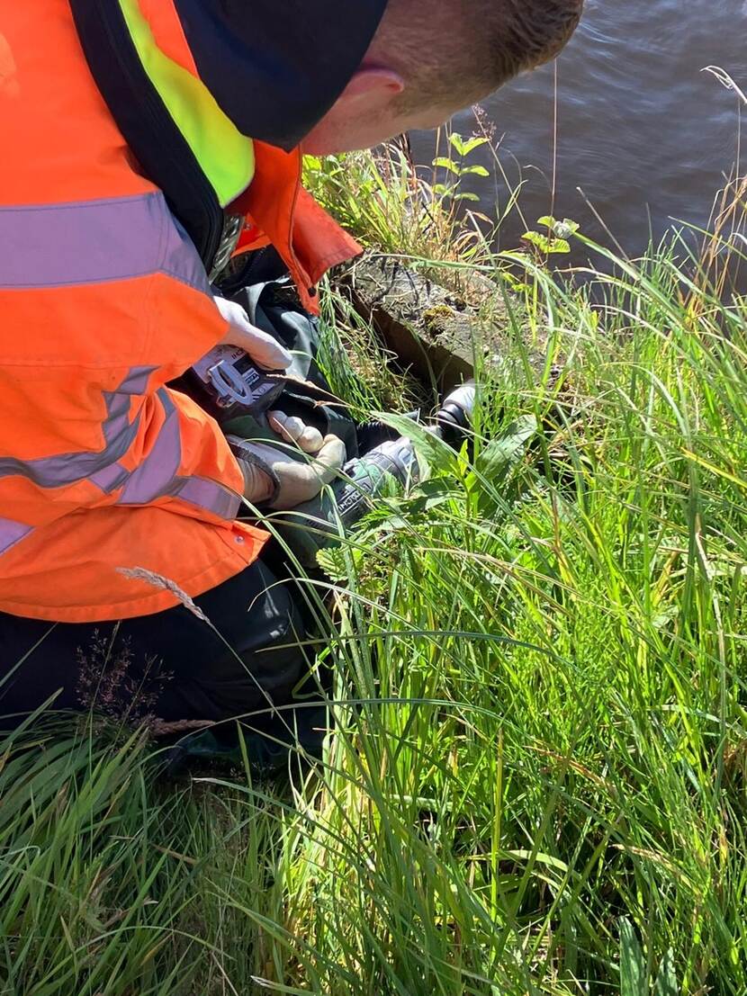 Een persoon in een oranje veiligheidshes buigt zich voorover bij de waterkant om een houten monster te nemen voor kwaliteitsbepaling. Het gebied is begroeid met hoog gras en planten.