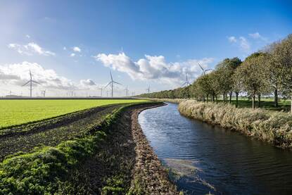 bomen, sloot en grasland